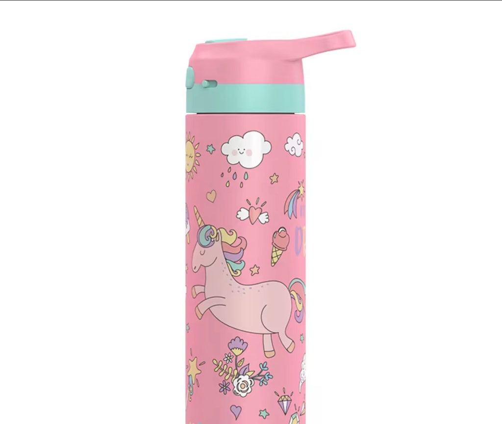 Stainless Steel Water Bottle with  Lid